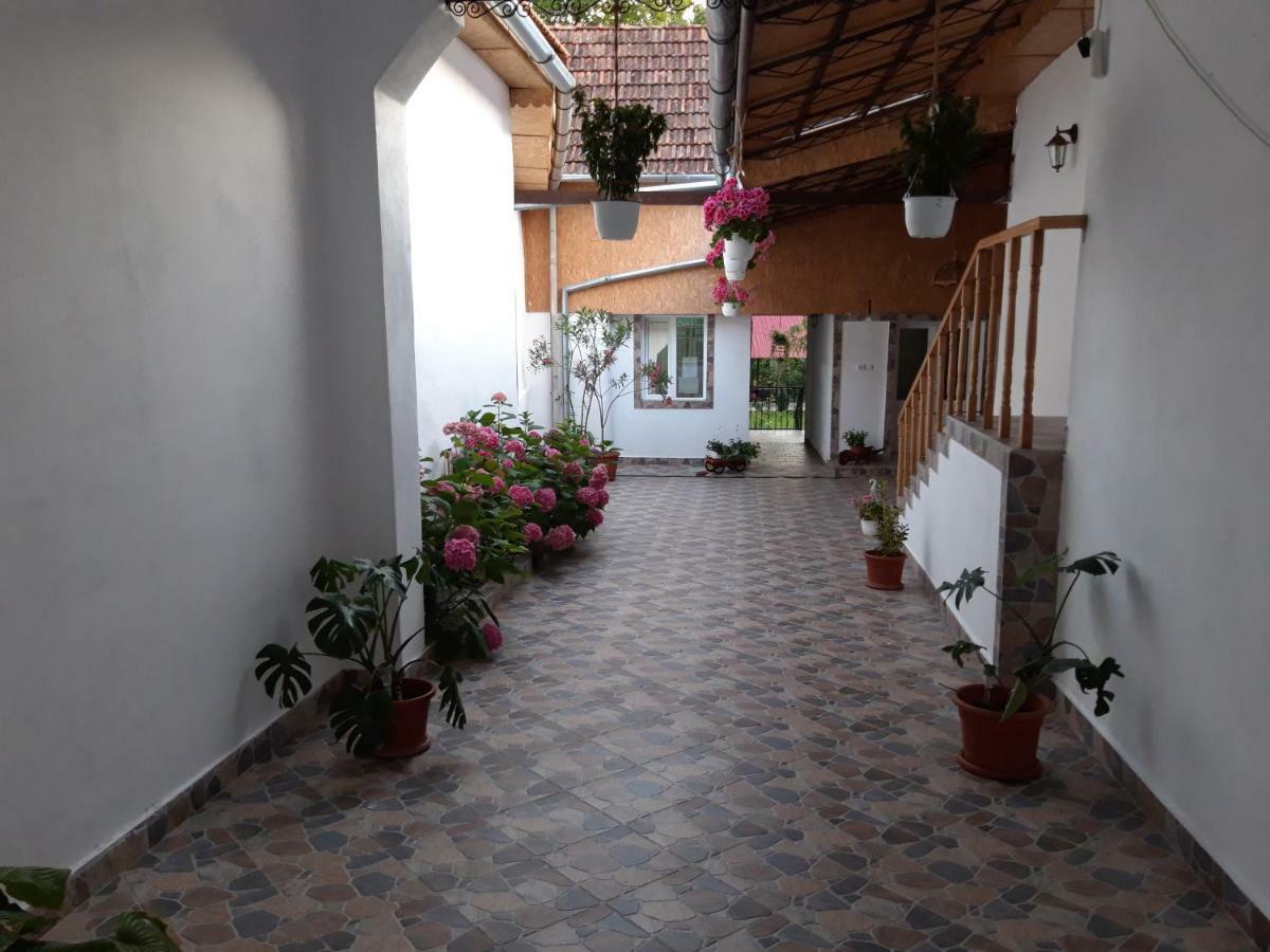 Casa Valea Morilor Pension Eftimie Murgu Buitenkant foto